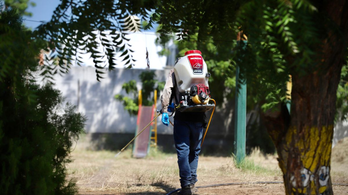 DENGUE EN SINALOA