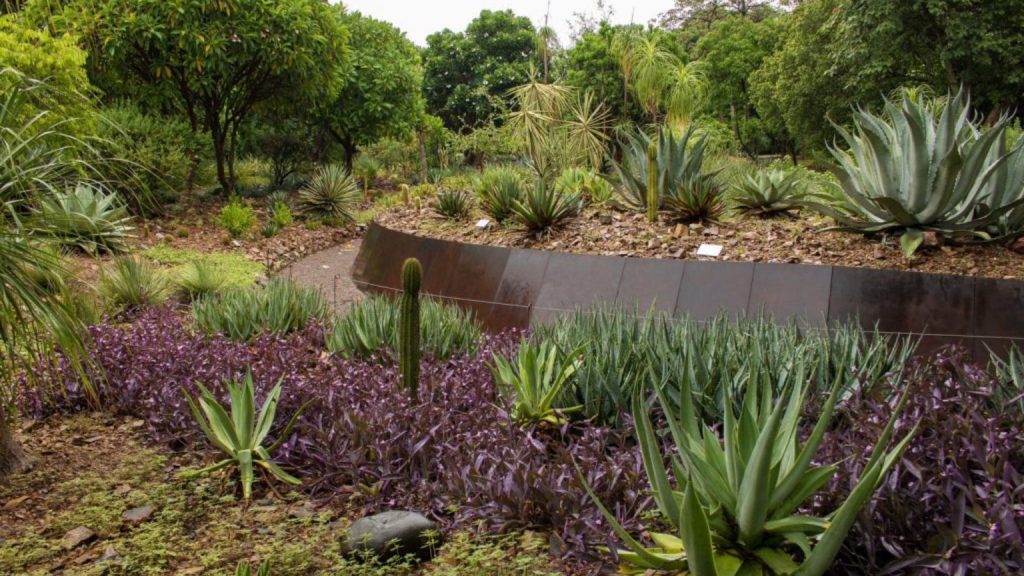 Jardín Botánico Culiacán