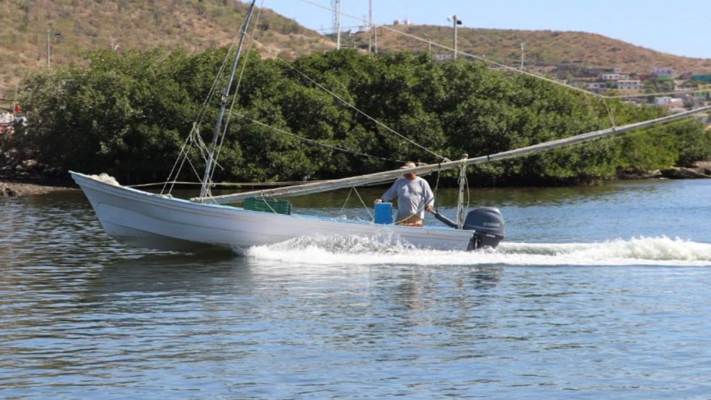 Padrón de Bienpesca