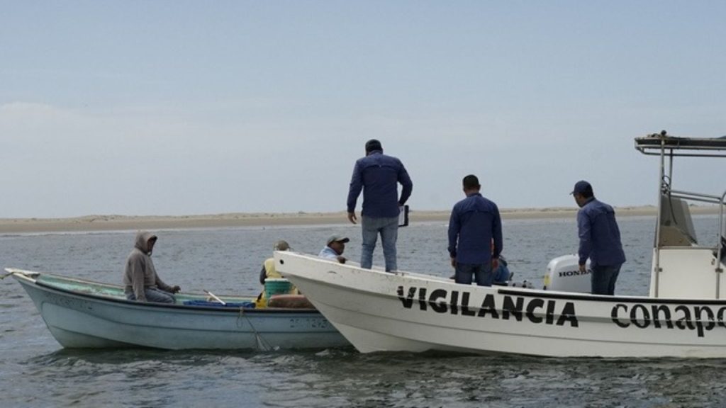 Operativo contra pesca ilegal