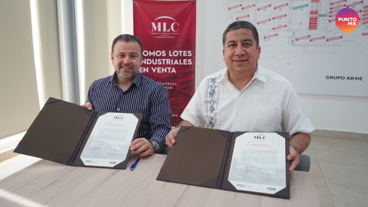 MLC ARHE CIT SINALOA