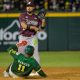 TOMATEROS A LA FINAL