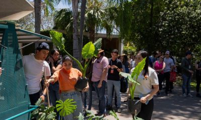 DÍA VERDE JARDÍN BOTÁNICO