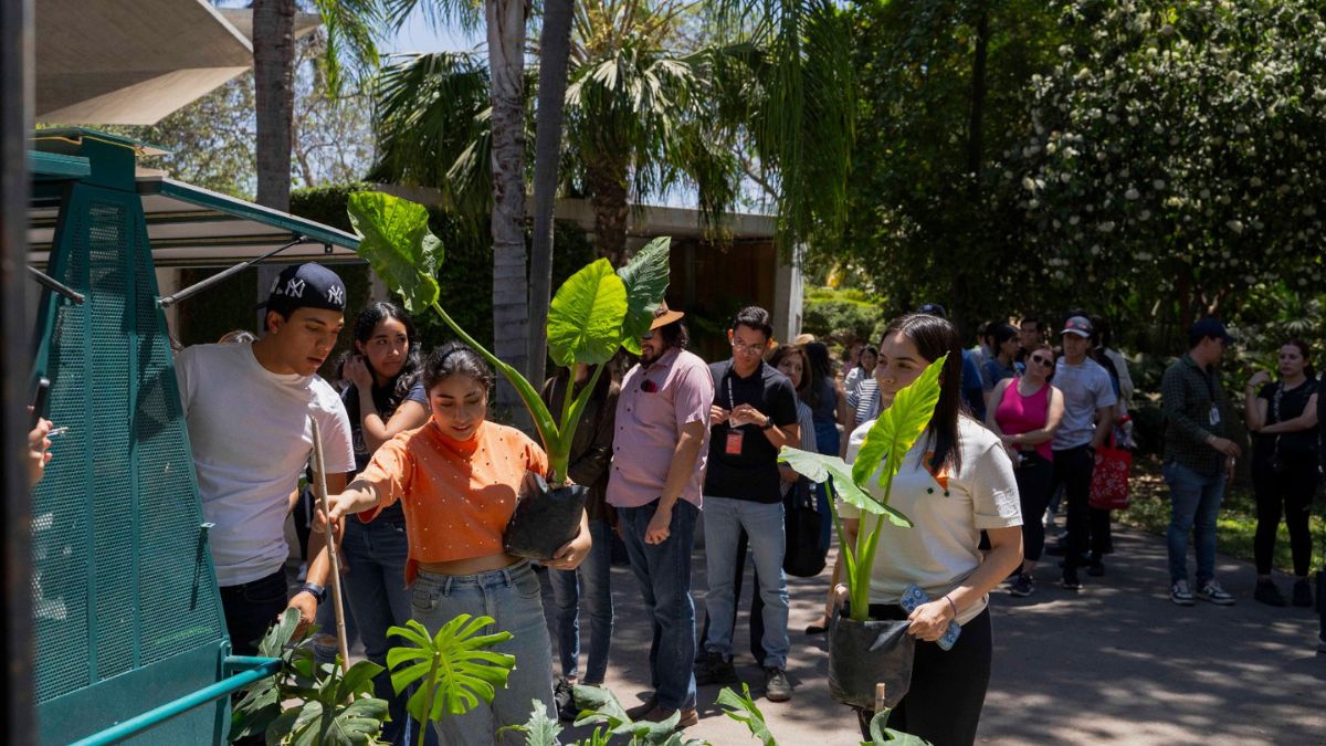 DÍA VERDE JARDÍN BOTÁNICO