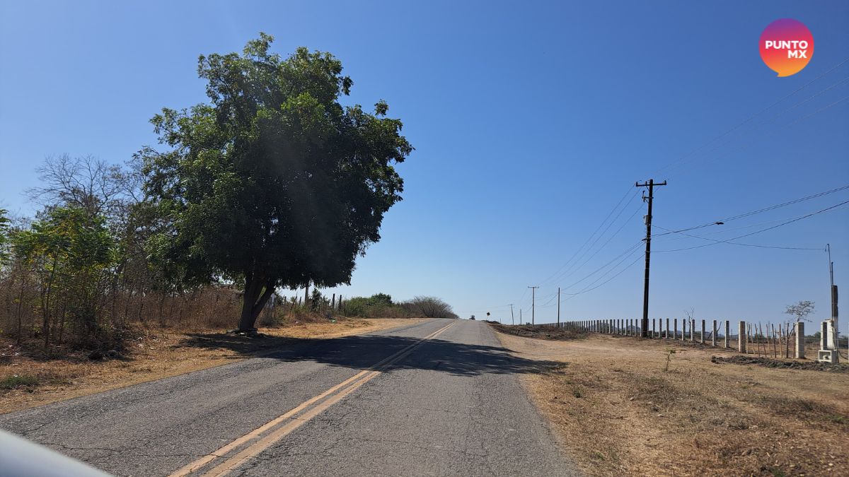 REHABILITACIÓN DE CAMINOS