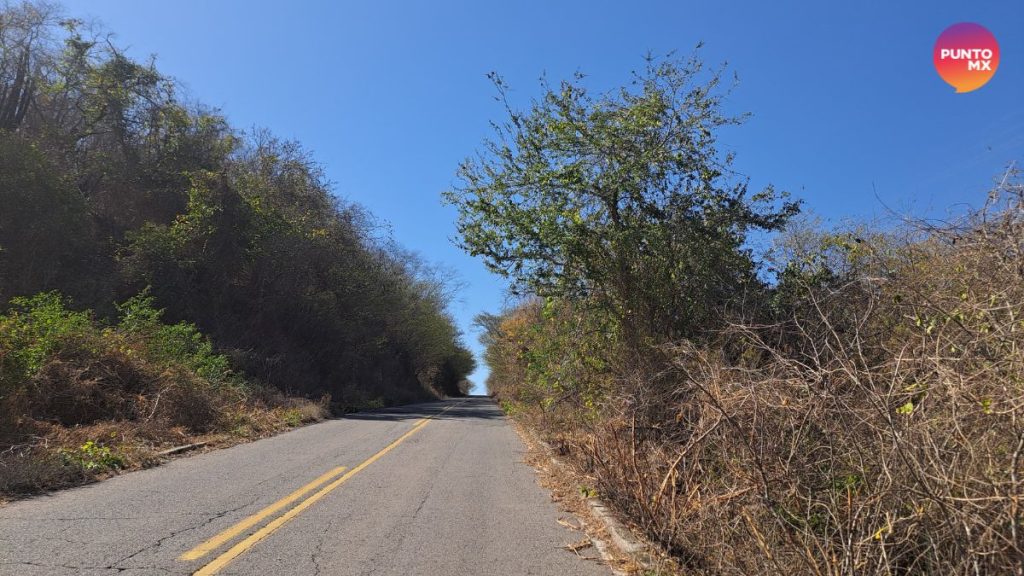 REHABILITACIÓN DE CAMINOS