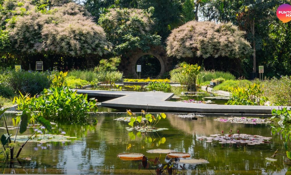 Jardín Botánico Culiacán y todas sus actividades para mayo - Punto MX