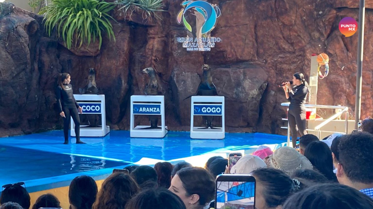 ACUARIO LEY VIDA SILVESTRE