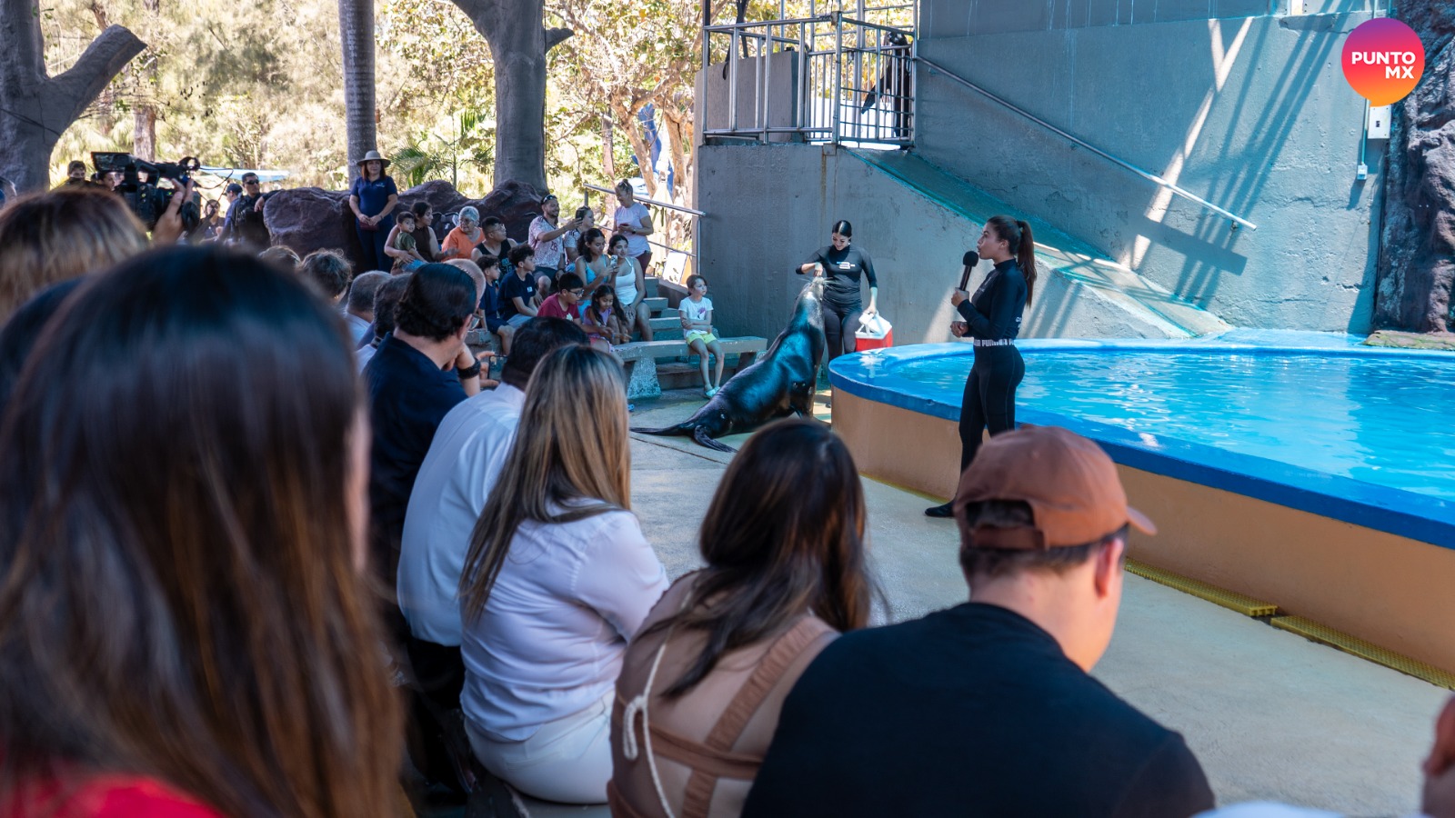 ACUARIO MAZATLÁN ÉXITO VERANO