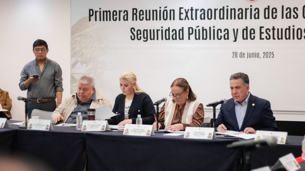 LEY NACIONAL SEGURIDAD PÚBLICA