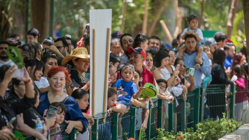 PAREJA HIPOPÓTAMOS ZOO CULIACÁN