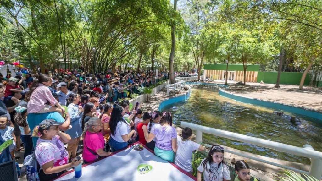 PAREJA HIPOPÓTAMOS ZOO CULIACÁN