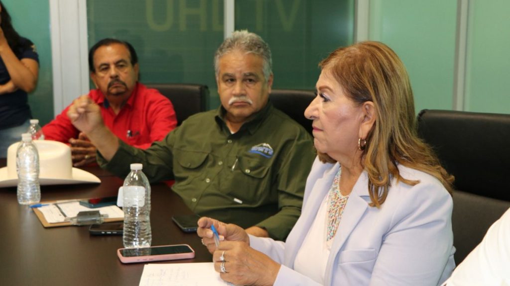 PROYECTO HIDRÁULICO ELOTA-PIAXTLA