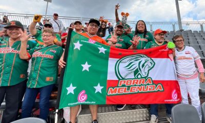 DIABLOS LEONES MÉRIDA