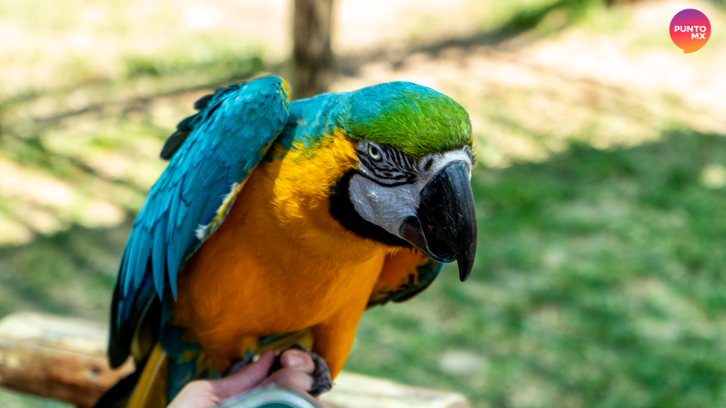 Gran Acuario Mazatlán