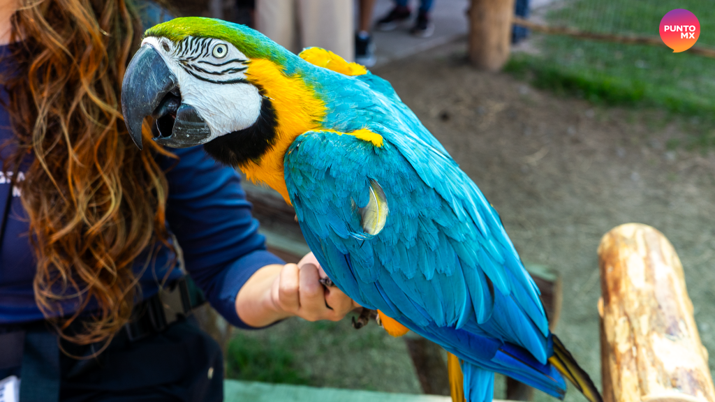 Gran Acuario Mazatlán