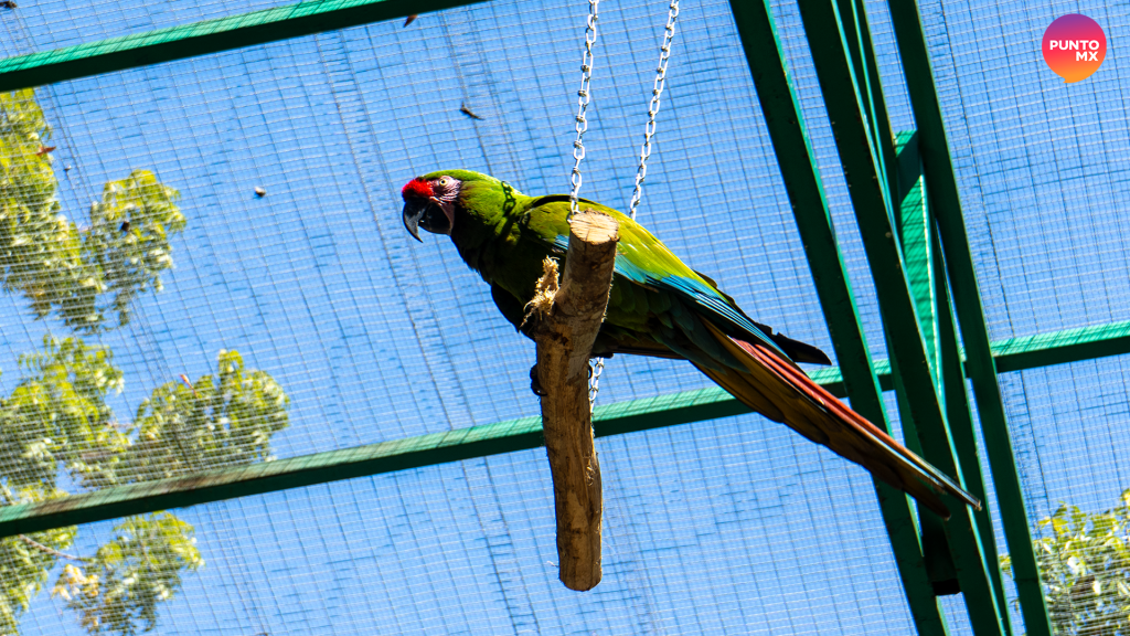 Gran Acuario Mazatlán