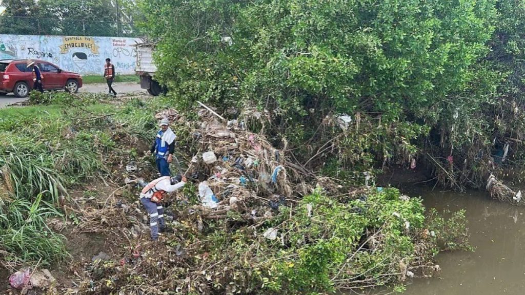 TALA MANGLE JABALINES PALACIOS