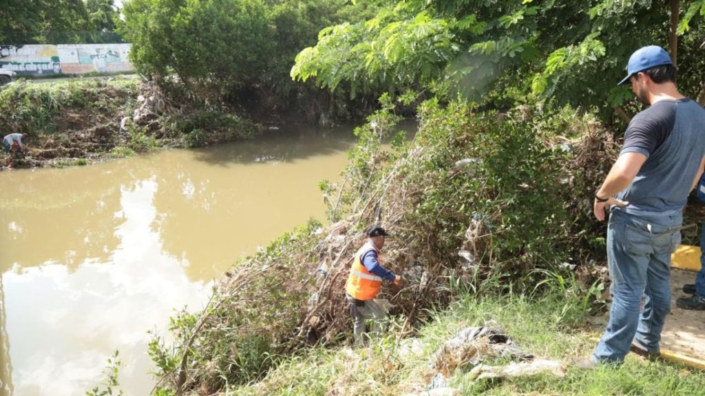 TALA MANGLE JABALINES PALACIOS