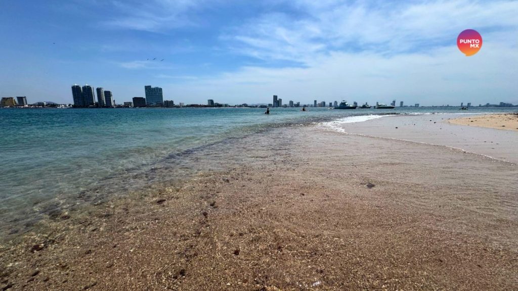 DELIMITARÁN ÁREA ISLA VENADOS