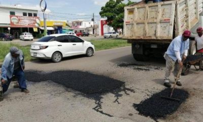 INTENSIFICARÁN MÁS BACHETÓN