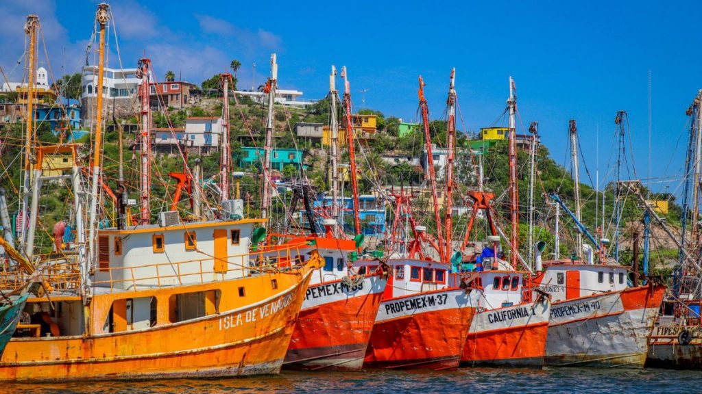 SPYA RESPALDA PESCADORES ALTAMAR