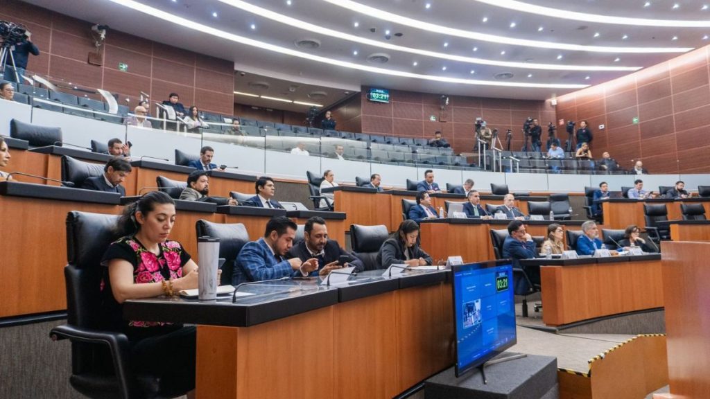 APRUEBA SENADO LEY AMPARO