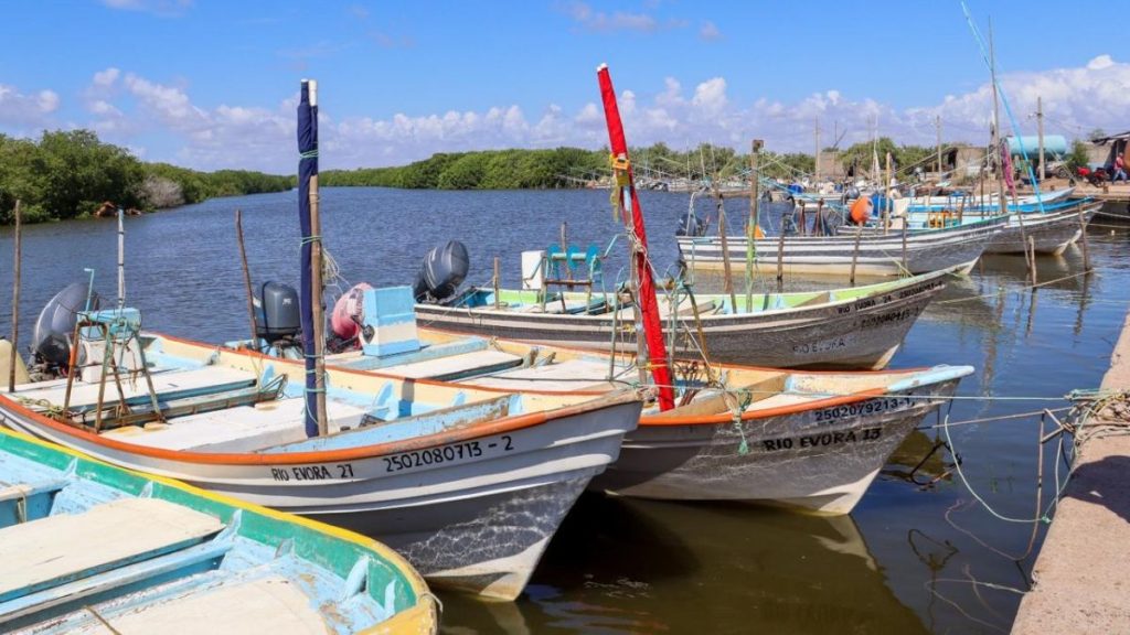 PESCADORES HUIZACHE SE AUTOVEDAN