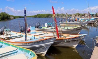 PESCADORES HUIZACHE SE AUTOVEDAN