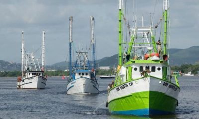 BARCOS CAMARONEROS RETOMAN PESCA