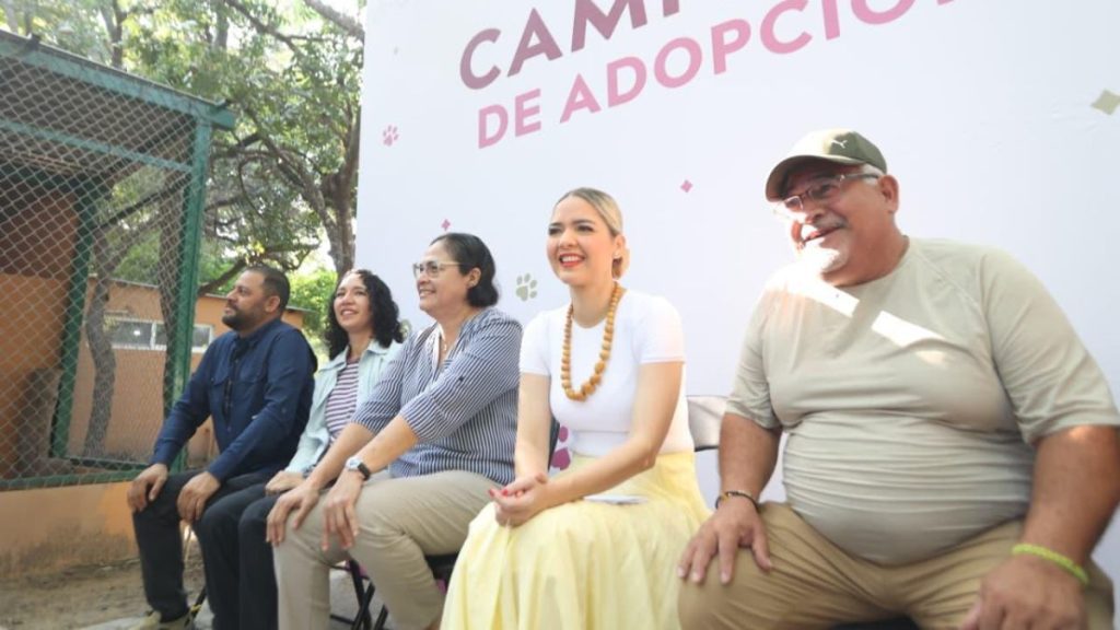 LISTOS PARA LA ADOPCIÓN