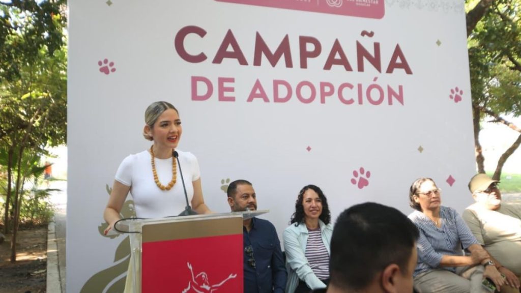 LISTOS PARA LA ADOPCIÓN