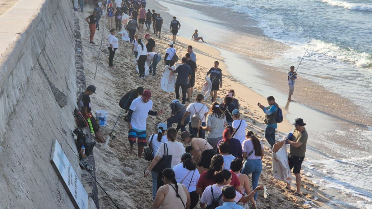 MAZATLÁN LIMPIO COLABORACIÓN