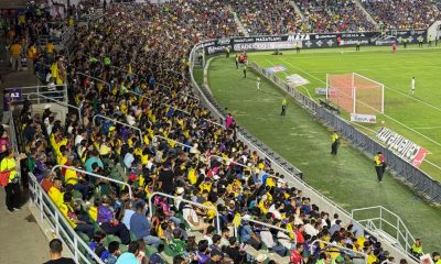 SALDO BLANCO ESTRELLA PALACIOS