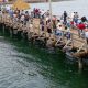 SINALOA PESCA INFANTIL