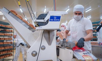 SINALOA TOP 5 CRECIMIENTO