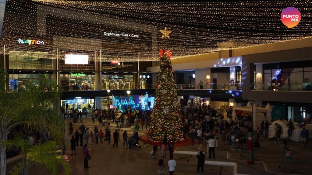 ISLA TRES ENCENDIDO ÁRBOL
