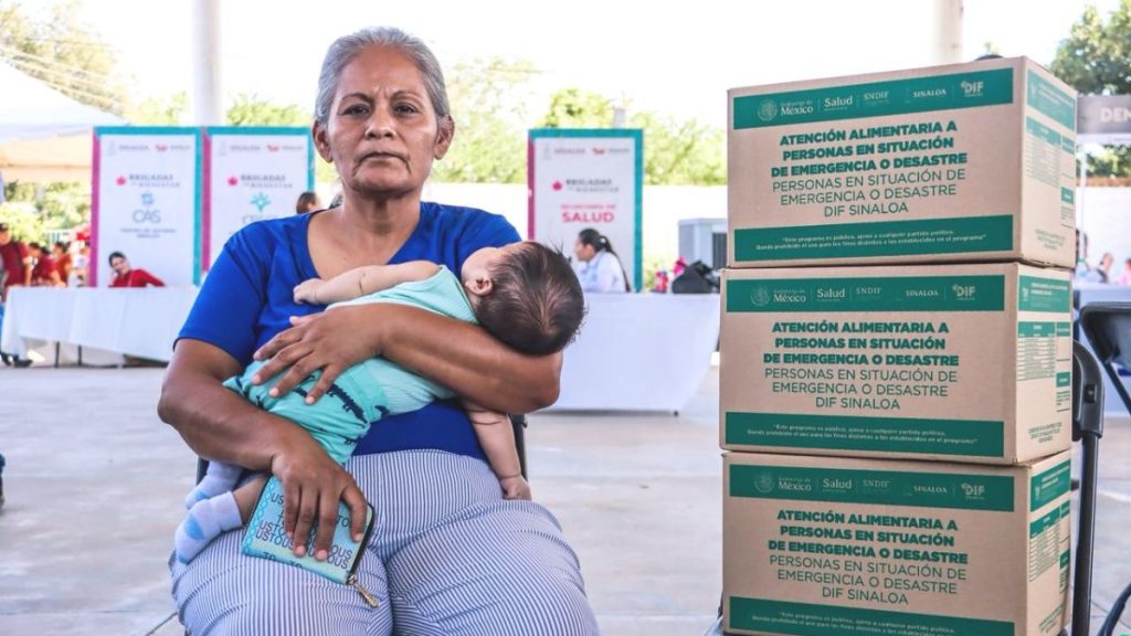 Brigadas del Bienestar