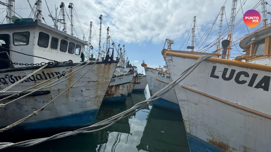 POBRE PRIMER VIAJE CAMARÓN