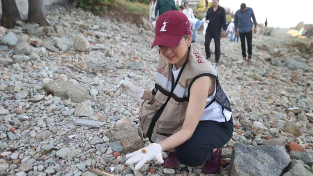 SÁBADOS DE LIMPIEZA MAZATLÁN