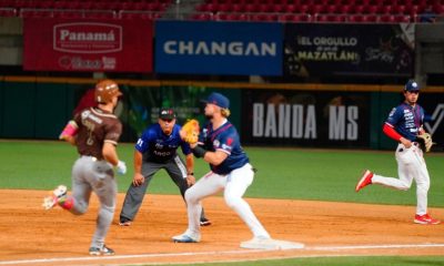 VENADOS QUEA CORTO TUCSON