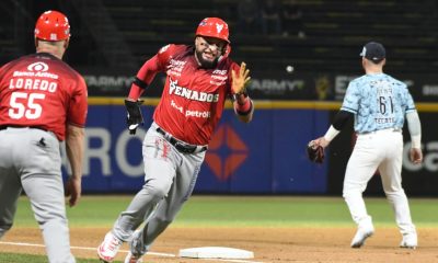 VENADOS VICTORIA ALGODONEROS