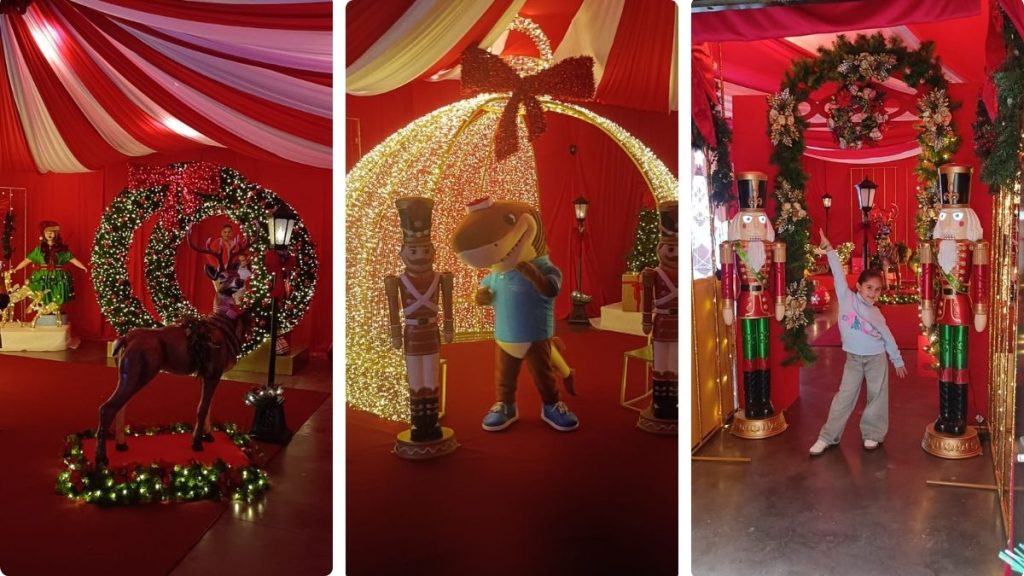 ACUARIO MAZATLÁN PROMOCIONES