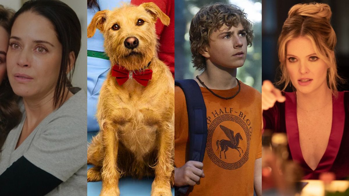 ESTRENOS STREAMING DISFRUTAR CASA