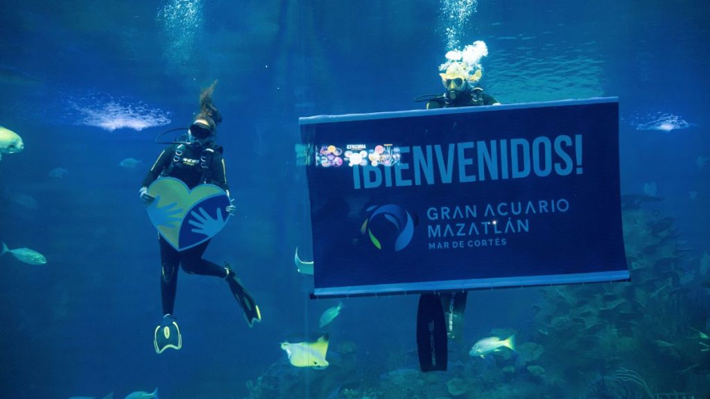 GRUPO ARHE ALIANZAS CRIT