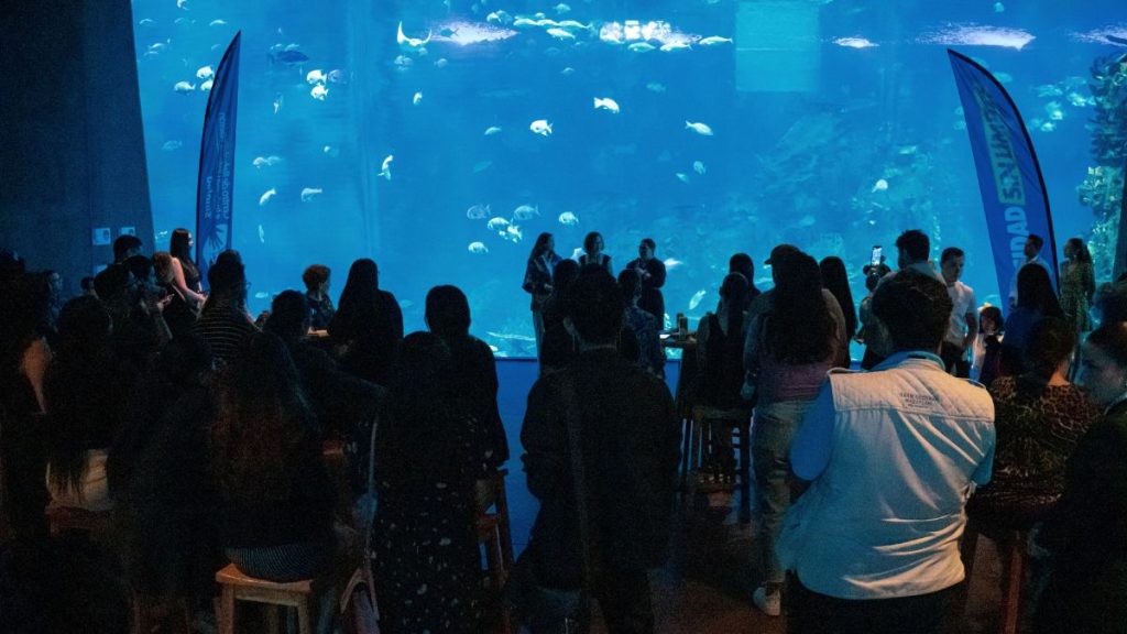 GRUPO ARHE ALIANZAS CRIT