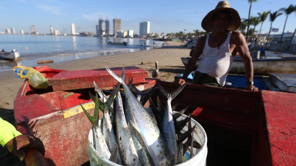 FRÍO PESCA PLAYA NORTE