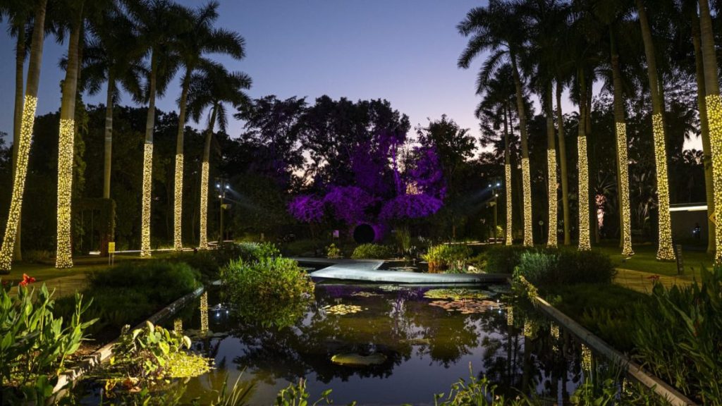 NAVIDAD JARDÍN BOTÁNICO CULIACÁN