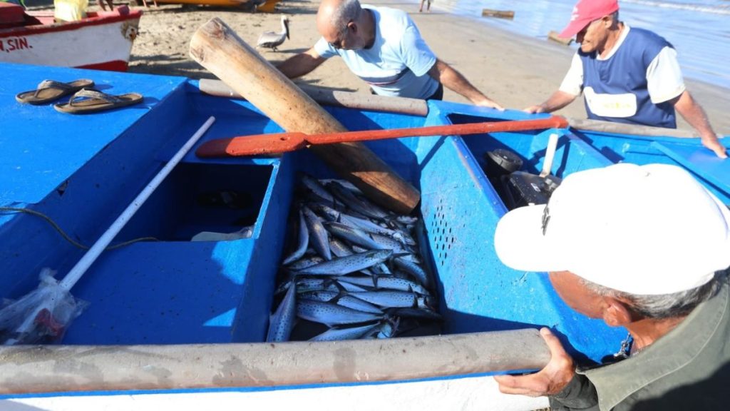 PESCADORES DE PLAYA NORTE