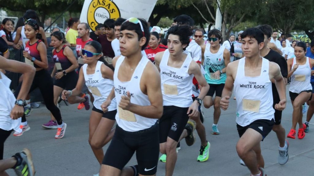 VICTORIANO ÁLVAREZ CASAS COCI